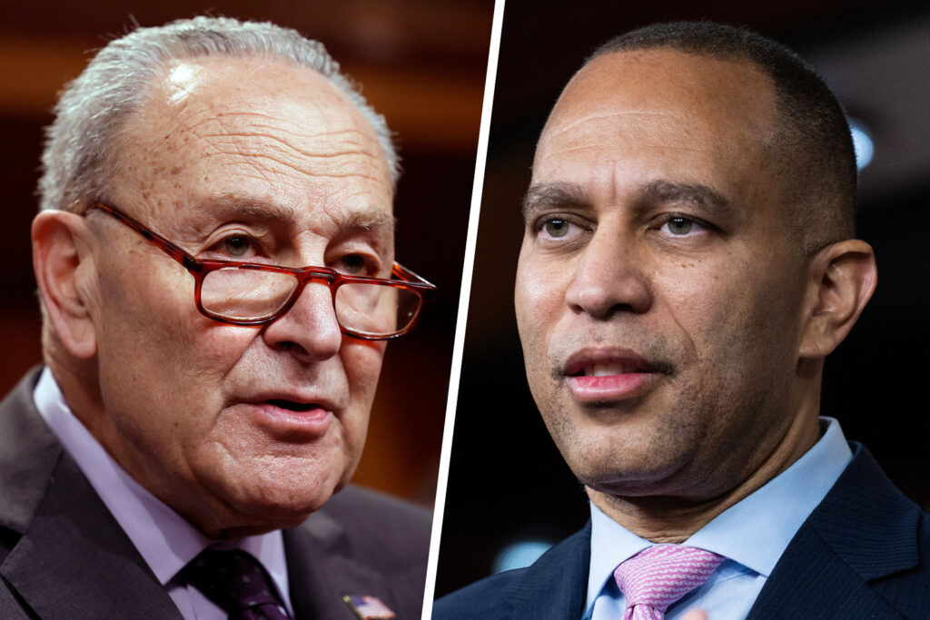 Democrats find their voice fighting Trump’s federal funding freeze