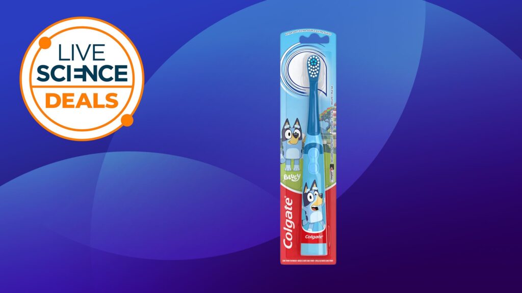 Parents, do not miss out on this deal — our favorite budget electric toothbrush for kids has just gotten even cheaper
