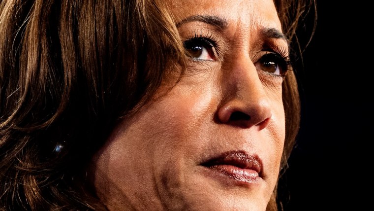 Harris talks her political future