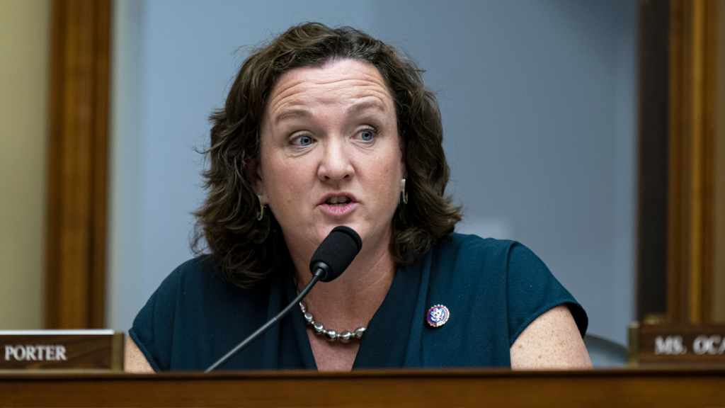 MSNBC panel debates if Katie Porter backlash shows double standard for women