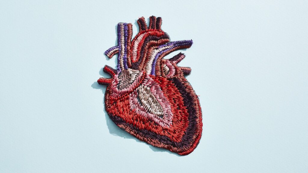 Heart quiz: What do you know about the body’s hardest-working muscle?