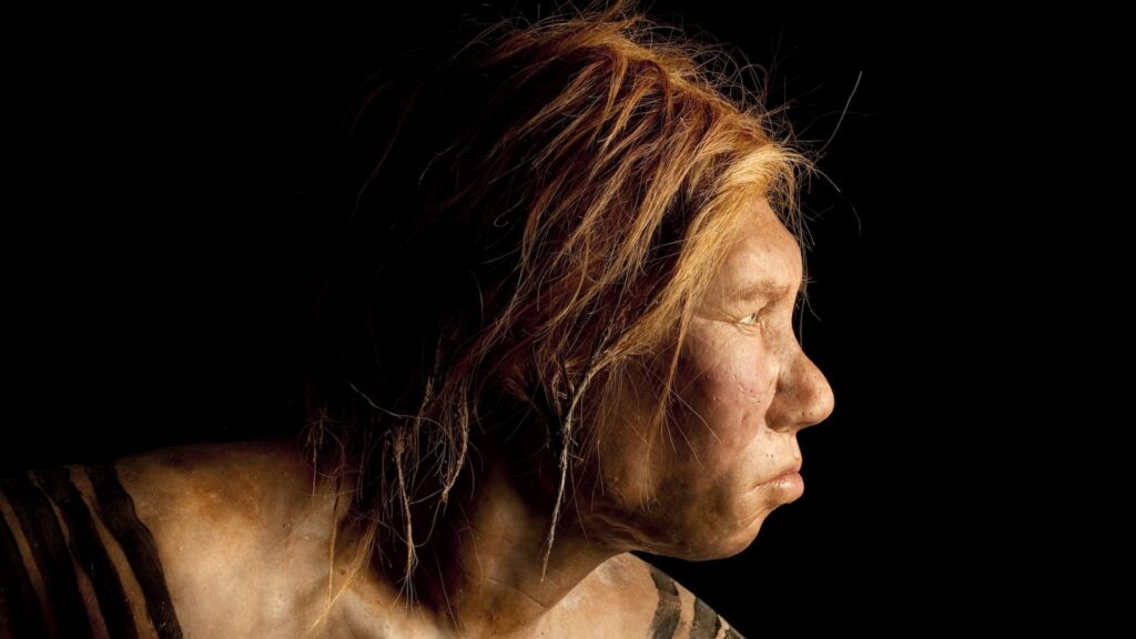 Neanderthals were more susceptible to lead poisoning than humans — which helped us gain an advantage over our cousins, scientists say