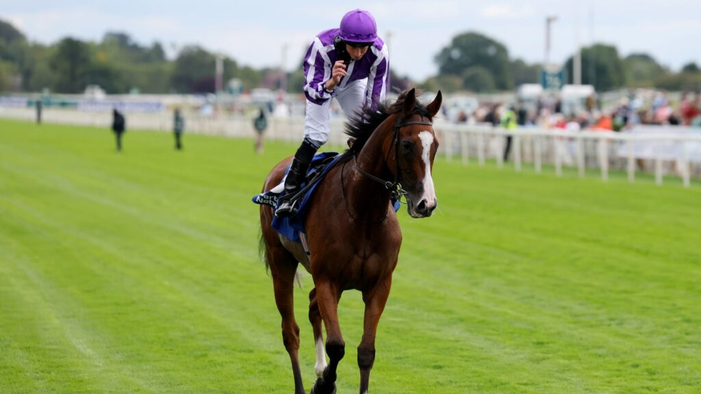 Prix de l’Arc de Triomphe: Aidan O’Brien’s Minnie Hauk drawn in stall one for ParisLongchamp assignment | Racing News