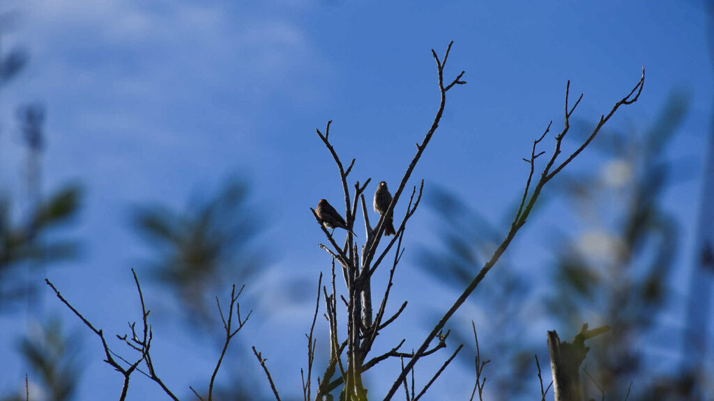 Non-Binding Climate Action Plan Signed by Orange County
