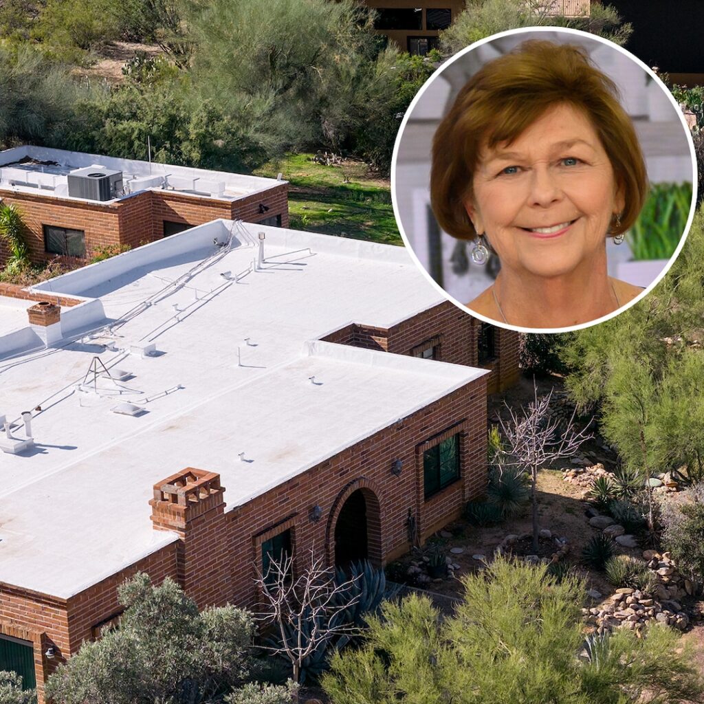 Police on If Nancy Guthrie Suspect Visited Home Before