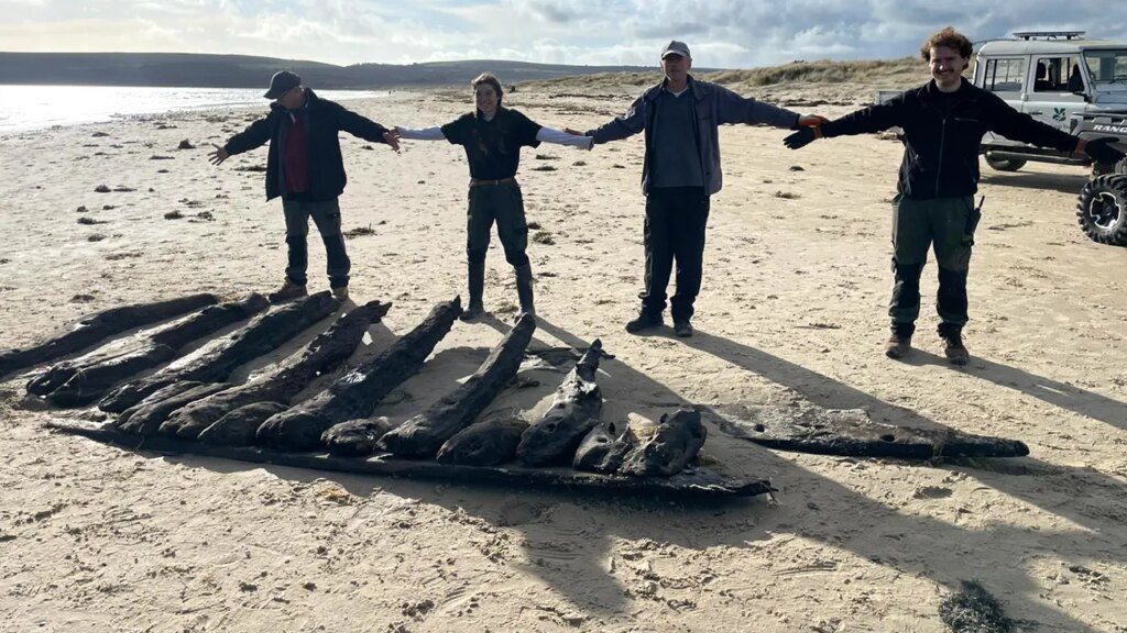 Sunken 17th-century ship resurfaced after winter storms at Studland Beach