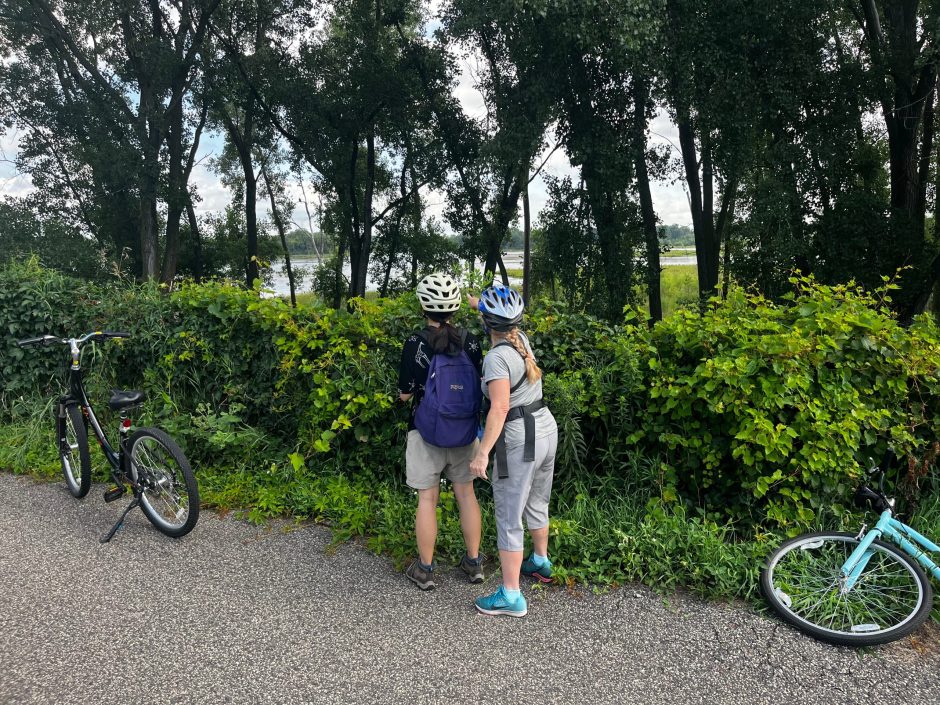 Skip Starbucks to save gas? There are better strategies