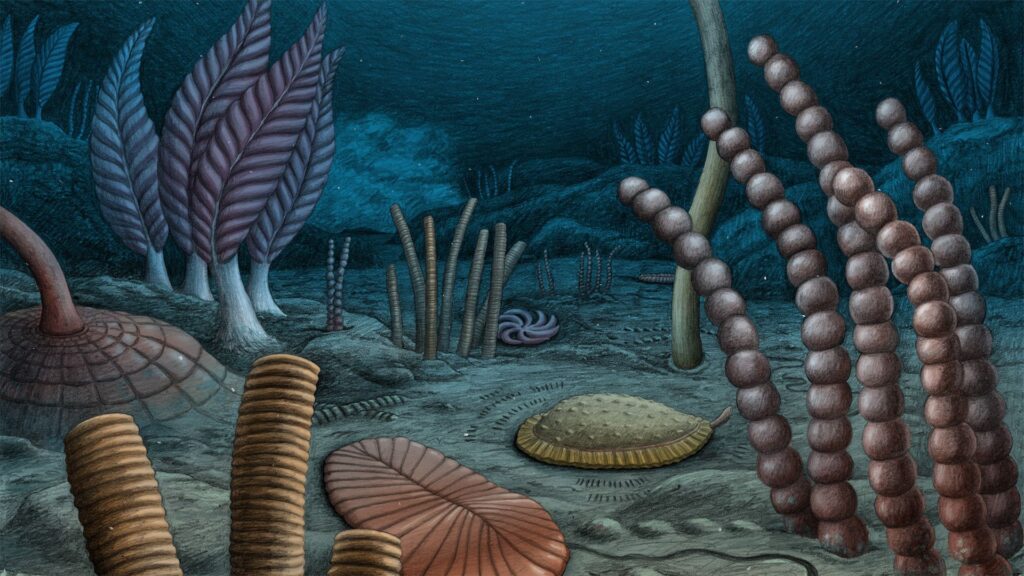 Complex animals evolved up to 10 million years earlier than previously thought, fossil discovery shows
