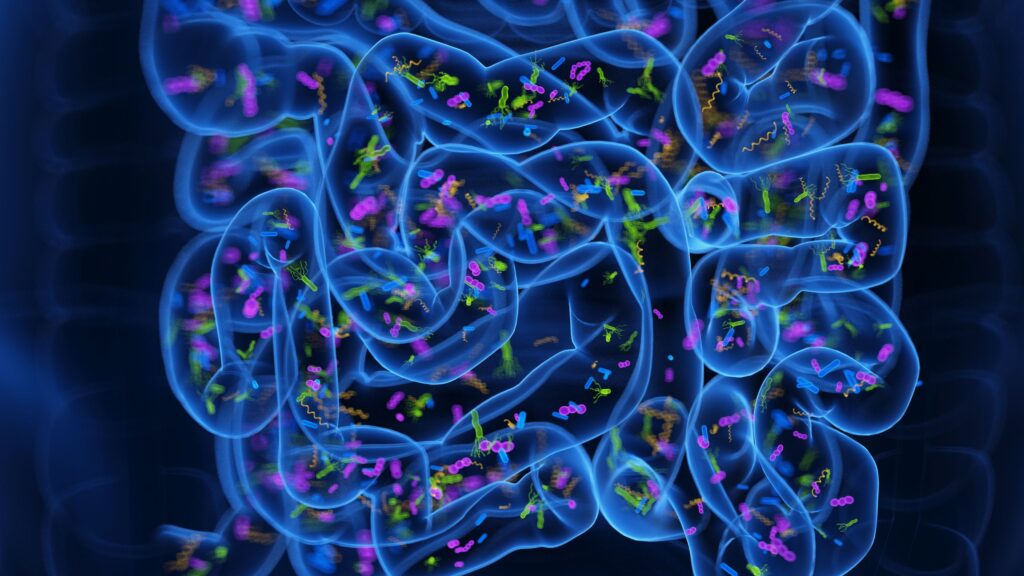 ‘Poop pills’ may ease insomnia by reprogramming the gut microbiome, early study hints