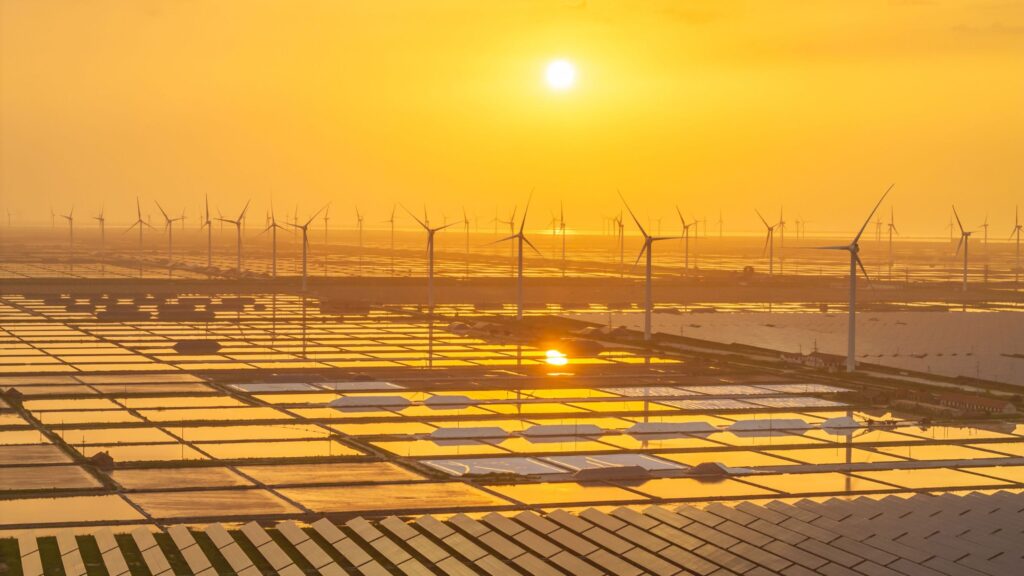 ‘We’re a bit late on the case, but we are on the case’: Author Fred Pearce on the rise of renewables, a defused population bomb, and letting nature find its own way